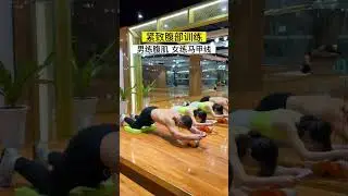Multi-functional Abs Roller with Elbow Support