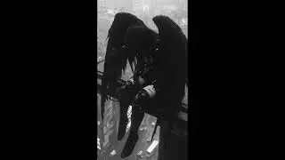 Blood and Shadows | Dark Pop Obsession Song