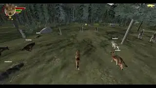WolfQuestAE - Lily's Saga