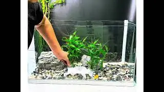 Full Aquarium Reset & Water Change Process | Satisfying Tank Maintenance