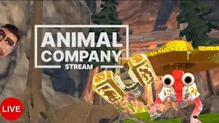 Animal Company CRAFTING UPDATE LIVE!
