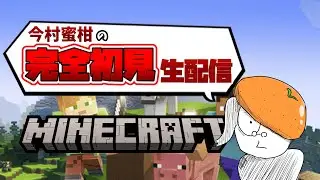 【完全初見】ネザらず ネザりし ネザる ネザれば ネザろう #29【Minecraft】