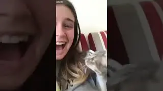 Cat Lover 😻 funny cats fighting 😹 # Episode 7035