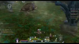 Kumuki Cave - Just piggies