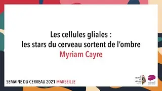 Les cellules gliales : les stars du cerveau sortent de l&rsquo;ombre