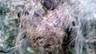 MOV00040