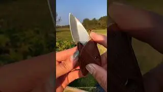 #Fruit Knife#meatknife #Good Knife Recommendation #kitchenknife #knifereview #daily#tools#video