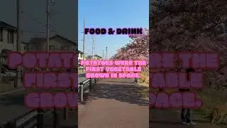 Food & Drink Facts That Will Change The Way You Eat
