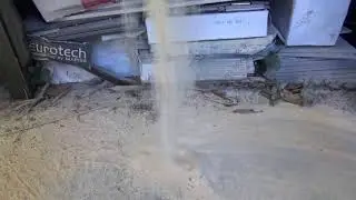 Le périple de la Fourmis Acrobate