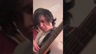 Midnight Ravers by Bob Marley #basscover #music #fyp bassist #bassguitar #reggae #dubreggae