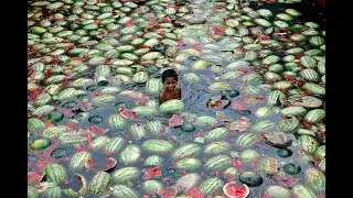 Melon River 100% // ImMaxX1