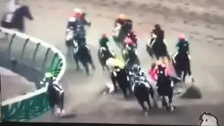Race Horse With Blinder