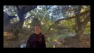 Beaver Reintroduction as Natural Watershed Management
