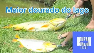 Quebrando o recorde do lago com um peixe inusitado!!!🎣