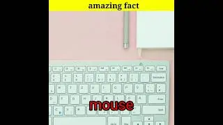 top amazing facts about computer in hindi | fun facts | random facts in hindi | computer #facts