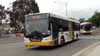 Buses at Ringwood - Melbourne Buses