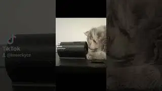 cat proof fish feeder cover for juwel automatic feeder