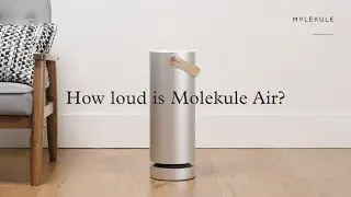 Molekule How To: How loud is Molekule Air?