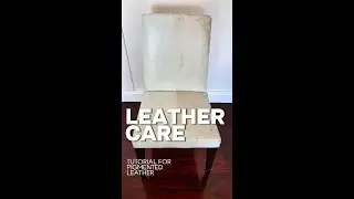 Leather Care Tutorial for Pigmented Leather