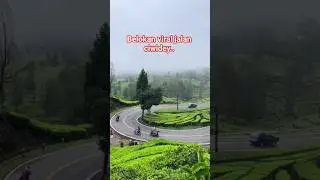 Ciwidey dengan semua ke indahan alam nya #fypyoutube #shortvideo #ciwidey #pemandanganbagus