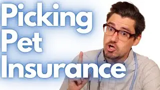 My favorite Pet Insurance as a Veterinarian