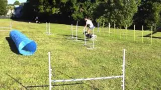 Silvia Trkman Handling Course 1 Version 1 Full Course