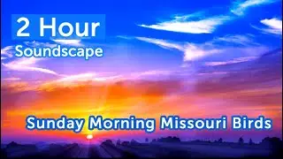 Missouri Bird Sounds On A Sunday Morning In July (07 07 2020)