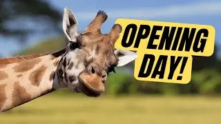 Opening Day at The Wild Animal Park