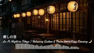 1 Hour of Calm Lo-Fi Music | Tokyo Vinyl Caf&eacute; Ambience 🎧