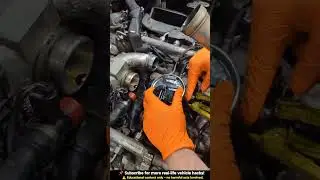 V6 Diesel Fuel Filter Change (Quick Fix) #autorepair #carrestorationproject #luxurycar