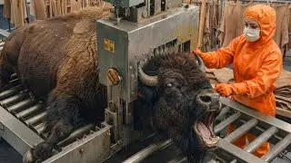 Inside the Bison Leather Factory &ndash; (Full Process) How Million-Dollar Goods Are Made