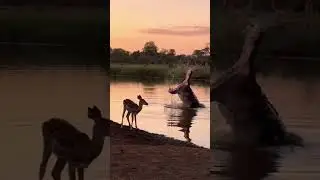 One Step Back Changed the River