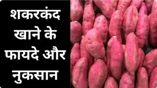 शकरकंदी खाने के 8 ज़बरदस्त फायदे और 3 नुकसान | Sweet Potato Benefits & Side Effects