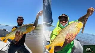 Variada en el Paraná de las Palmas y Dorados Potentes en Punta Morán | Río de la Plata
