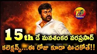 Mana Shankara Vara Prasad Garu 15th Day Collection | Mana Shankara Vara Prasad Garu Collection