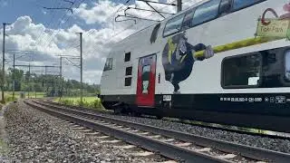 SBB CFF FFS Re 460 022 com IR 75 - Bassersdorf