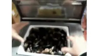 Emrich Packaging Machinery - Apack Benchtop Tray Sealer - Fresh Mussels