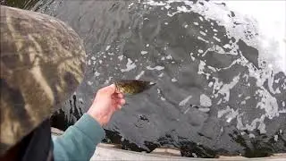 Fishing small bass in Downtown Jamestown, NY