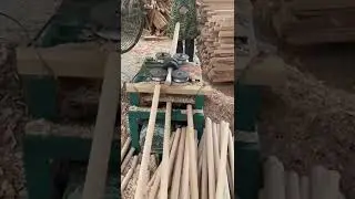 ПАЛКА woodwoker#shorts