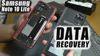 Нет изображения / Не заряжается | Смартфон Samsung Note 10 Lite (SM-N770F) (Восстановление данных)