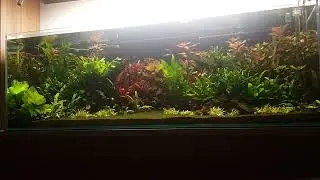 Pionierska lampa do akwarium 😁Mars Hydro SP3000