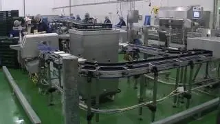 Easy conveyors en industria de alimentos