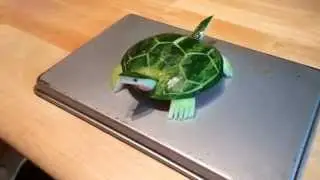 Watermelon Turtle (finished)