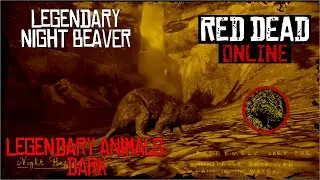 RDR2: Legendary Night Beaver FULL Guide