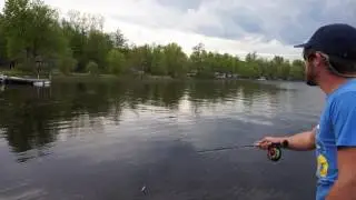Pop on Top - Top Water Pike Fly Fishing