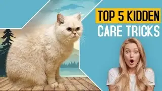 Cats about to give birth|| The cat above and the mouse below