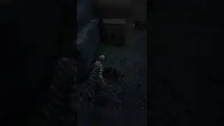 Bald Delilah is Something Else │ WildRP │ RDRP