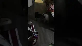 Take your ass to bed!