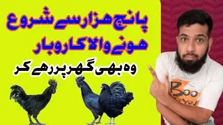 how to 5000 business 5000 se shuru hone wale labh 2022