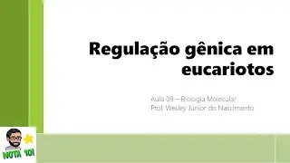 Biologia Molecular -Aula 09 -Regulação Gênica em Eucariotos